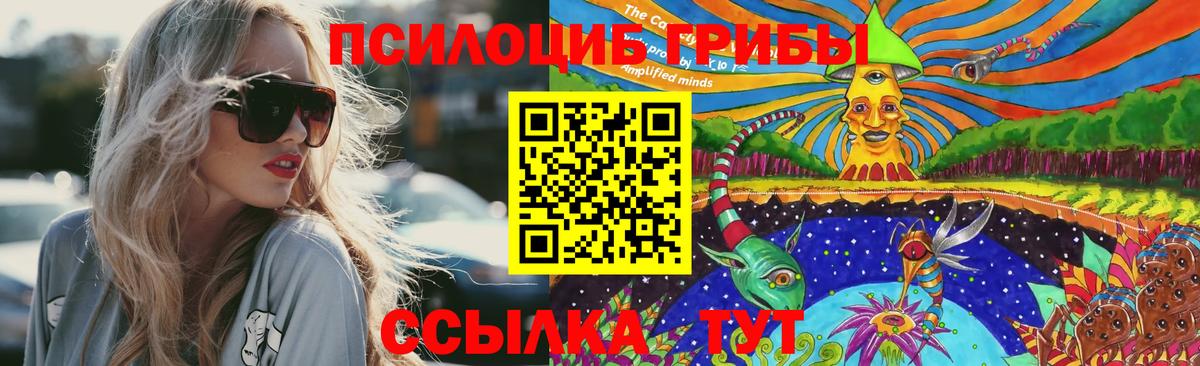 Новозыбков  Псилоцибиновые грибы мицелий  Вход с VPN  наркошоп  Псилоцибиновые грибы мицелий 