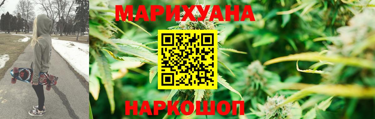 A PVP Новозыбков