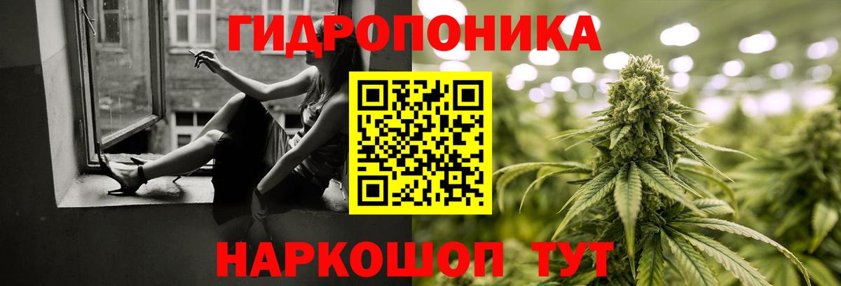 Шишки марихуана ГИДРОПОН  Вход с VPN  Бошки марихуана марихуана  Новозыбков 