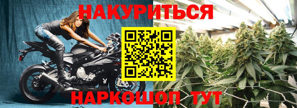 Каннабис индика Новозыбков